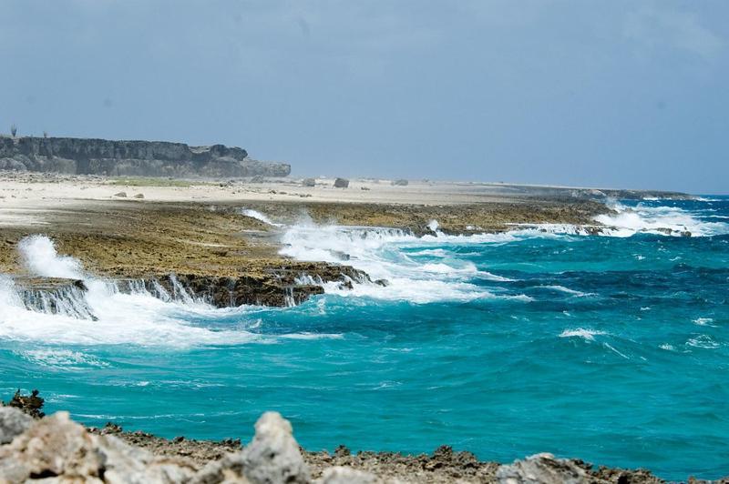 דירות קרלנדיק Woodz Bonaire מראה חיצוני תמונה